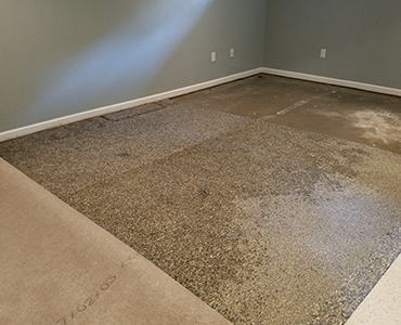 Carpet-Water-Damaged-Repair